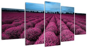 Modern képek - virágok  (150x70cm)