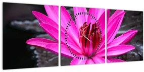 Kép - rózsaszín virág (órával) (90x30 cm)
