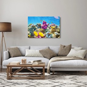 Kép - A tenger világa (90x60 cm)