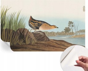 Dekoratív Öntapadós Tapéta Divatos Minták Természetes jelenet 416x254 cm