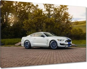Képek 100x70 Ford Mustang Usa autó