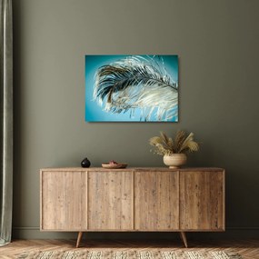 Tollas kép (üvegen) (70x50 cm)