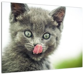 Nyaló cica képe (üvegen) (70x50 cm)
