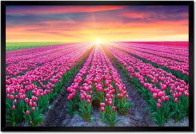 Poszter keretben 60x40 Tulipánok tengere Tulipánok