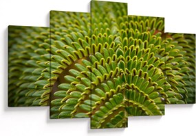 Kép - Fern (150x105 cm)