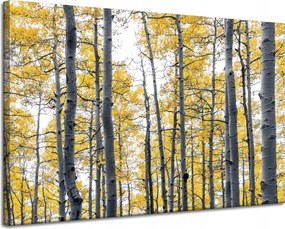 Vászonkép Nyírfák Sárga levelek Természet Tavasz 120x80 cm