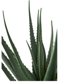 Műnövény (magasság 51 cm) Aloe Vera – House Nordic