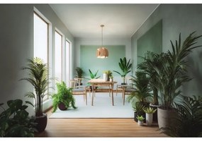 Fabas Luce 3672-40-132 - Csillár zsinóron PEVERO 1xE27/40W/230V fa