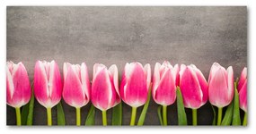 Akrilkép Rózsaszín tulipánok oah-102142486