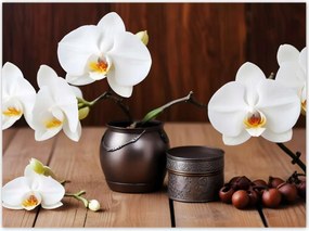 Poszterek 135x100 Fehér orchideák