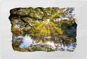 Poszterek 90x60 Tájkép