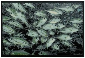 Állatos prémium lábtörlő - halak (Válassz méretet: 100*70)