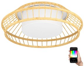 Eglo Eglo 900841 - LED RGBW Dimmelhető mennyezeti lámpa YUKU-Z LED/22W/230V EG900841