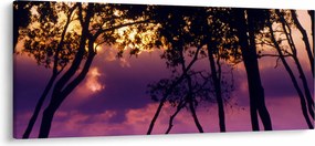 Kép - Fák naplementében (120x50 cm)