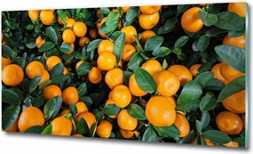 Fotó-üvegkép Gyógynövények a zsinóron 125x50