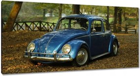 Képek 115x55 Bogár Vw autó]