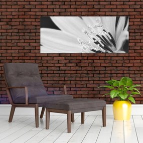 Kép - Fekete-fehér virág (120x50 cm)