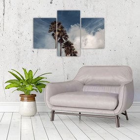 Kép - Pálma dráma (90x60 cm)