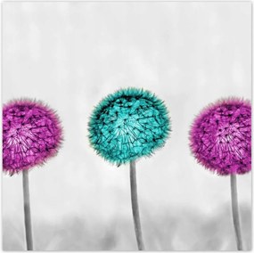 Poszterek 140x140 Lila pitypangok