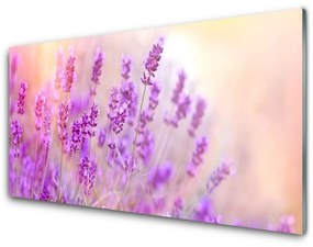Üvegfotó Lavender Field of Sun Flowers 125x50 cm