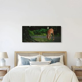 Gida képe (120x50 cm)