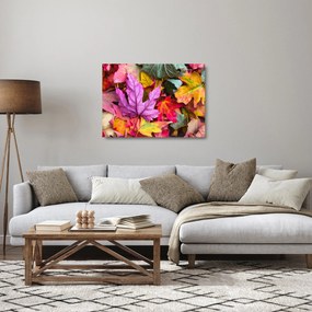 Kép - őszi levelek (üvegen) (70x50 cm)