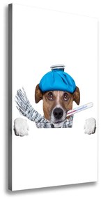 Vászonkép nyomtatás Beteg kutya ocv-56627196