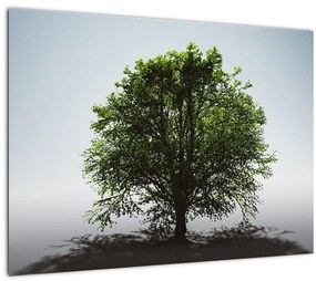 Kép - Magányos fa (üvegen) (70x50 cm)