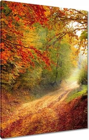 Vászonkép 60x80 Út az erdőben ősz