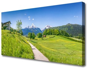 Vászonkép nyomtatás Mountain Meadow Path-völgy 140x70 cm