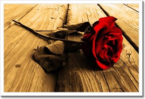 Poszter keretben 60x40 Rózsa szépia deszkákon