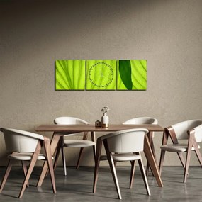Kép - Zöld levél részlete (órával) (90x30 cm)