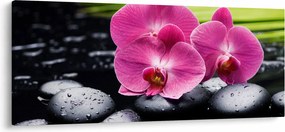 Kép - Rózsaszín orchidea pálmalevéllel (120x50 cm)
