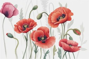 Flizelin tapéta Divatos 3D fali ragasztóval Piros pipacs 104x70 Ragasztó