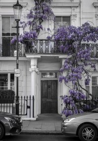 Poszter 68x98cm Ház a Portobello úton 2, Assaf Frank