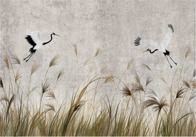 Fotótapéta Daruk Madarak Pampas Fű A Nappali Hálószobájába Tapéta 200x140