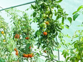 Kerti fóliaház/fóliasátor 2x4,5 m UV szűrővel PREMIUM