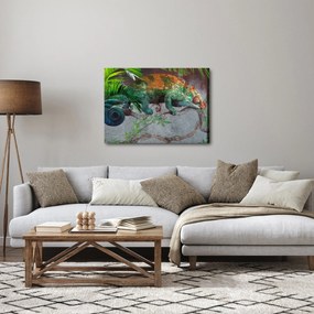 Kép - kaméleon (70x50 cm)