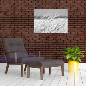 Üveg kép - Strandfű (70x50 cm)