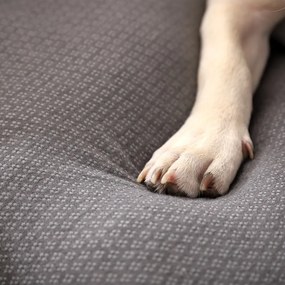 Világosszürke fekhely kutyáknak 60x48 cm Graphene – Love Story