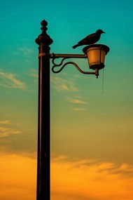 Poszter 30x45cm Nyugat a Lámpásban