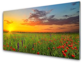 Akril üveg kép Sun mezei virágok Természet 100x50 cm