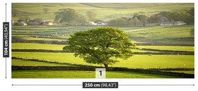 Fotótapéta Derbyshire England 104x70 cm