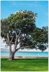 Poszterek 125x185 Magányos fa