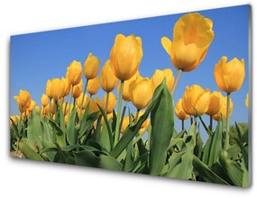 Modern üvegkép Tulipán virágok Plant 100x50 cm 2 fogas