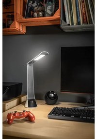 Lámpa Asztali FLOWER 4W, 240lm, DC 5V, 1A, 4000K, battery 1800MAh, Ra>80, fekete/fehér