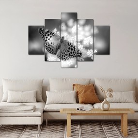 Kép - Részlet egy virágot beporzó pillangóról (150x105 cm)