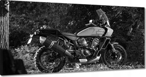 Képek 180x90 Harley Davidson Motorkerékpár