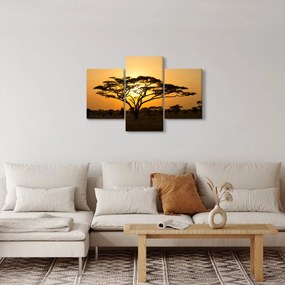 Kép - afrikai szavanna (90x60 cm)