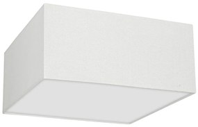 Mennyezeti lámpa ALBION 2xE27/60W/230V